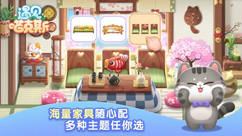 遇见喵克斯
