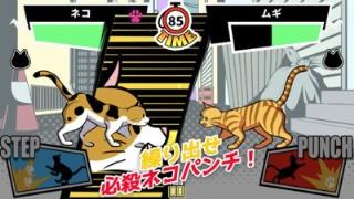 一击必杀猫咪拳
