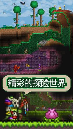 泰拉瑞亚手游
