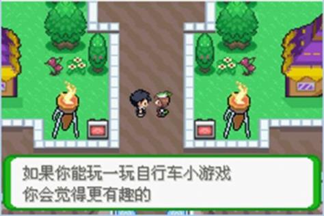 口袋妖怪空之花神金手指手机版直装
