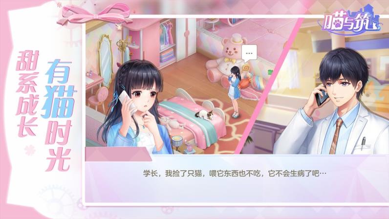 喵与筑
