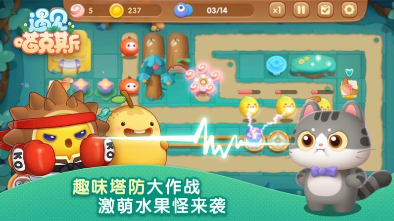 遇见喵克斯
