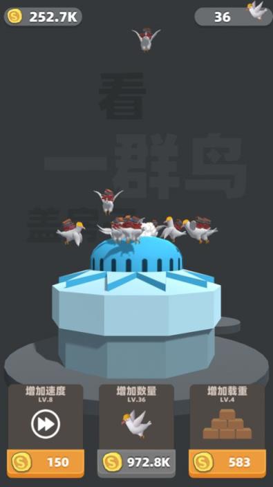 看一群鸟盖房子
