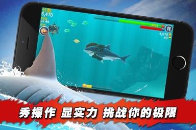饥饿鲨进化无敌版
