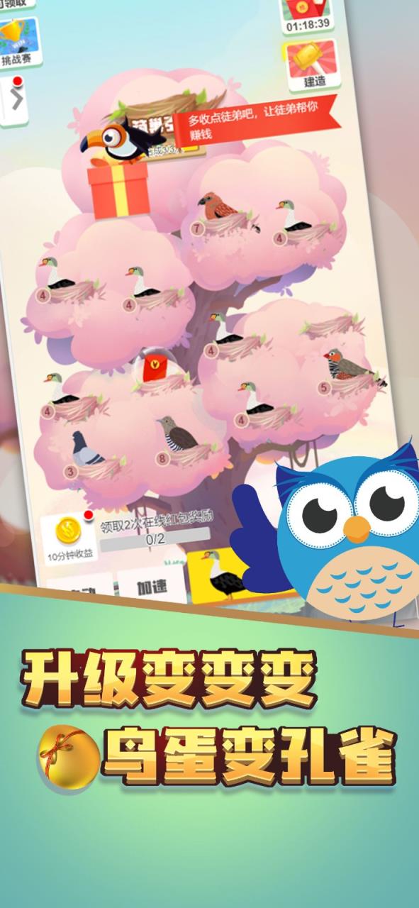 小鸟对对碰红包版
