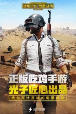 绝地求生刺激战场国际版体验服
