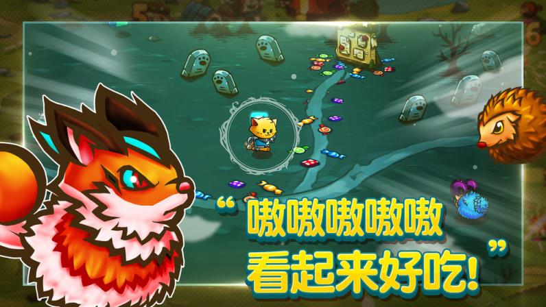 猫咪斗恶龙
