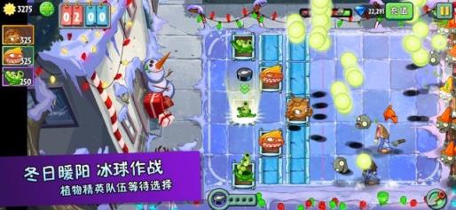 口袋妖怪大战僵尸游戏
