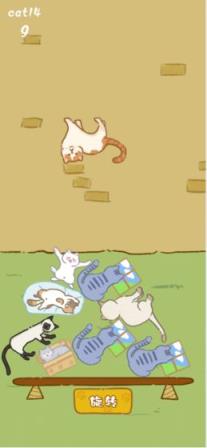 叠猫猫
