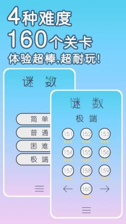 谜数

