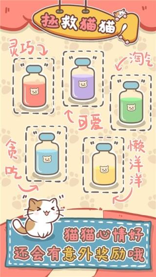 保护猫猫
