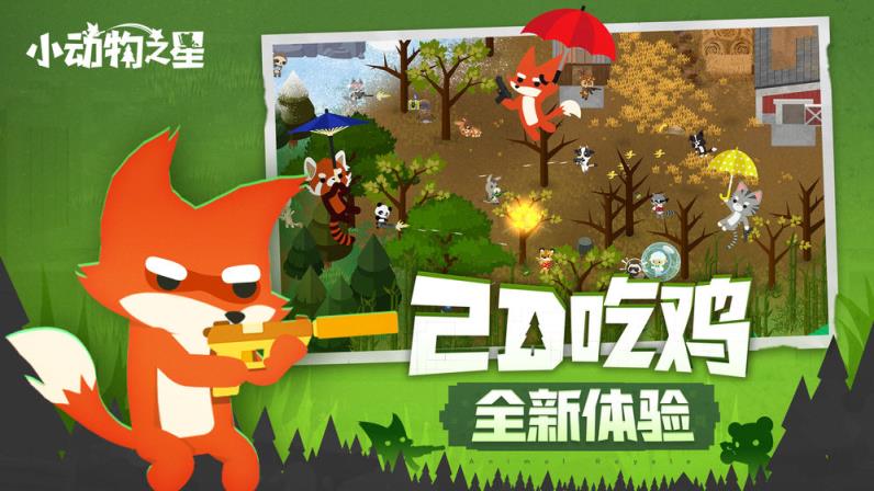 小动物之星
