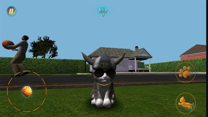 真实小猫3D模拟
