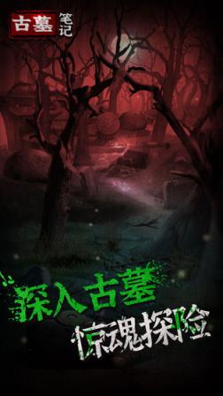 古墓笔记
