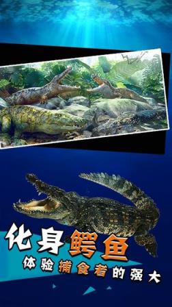 史前巨鳄
