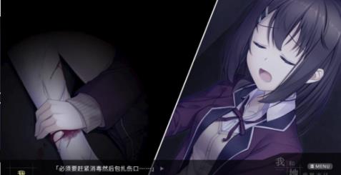 我和她的世界末日冷狐版
