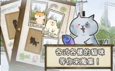 猫箱物语
