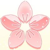 某某宗女修修炼手札