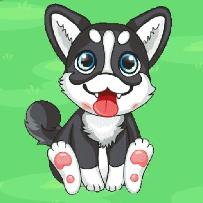 蠢萌的哈士奇游戏