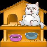 猫的房子