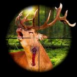 猎鹿达人游戏