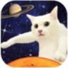 伸长吧猫咪游戏