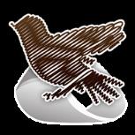 美丽新世界i手游