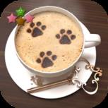 逃脱游戏我最喜欢的逃跑