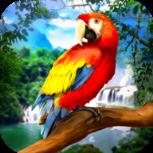 野生鹦鹉生存丛林鸟模拟器