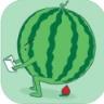 天天打西瓜游戏