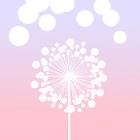 逃生力场保护蒲公英