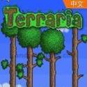泰拉瑞亚1.4破解版