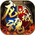 龙魂战域九游版