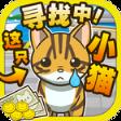 寻找小猫