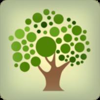 净化之树metasequire