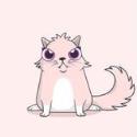 cryptokitties