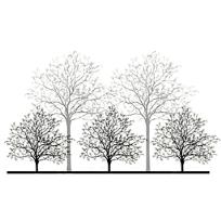 ring游戏