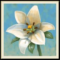 心灵花园 Inner Garden游戏