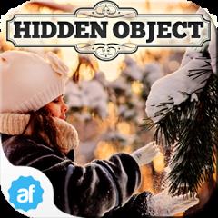 隐藏目标完美冬季