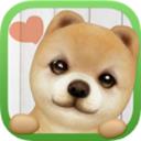 掌上狗狗安卓版