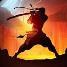 暗影格斗2无限金币版