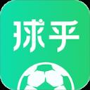 球乎