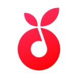 小叶子爱练琴app